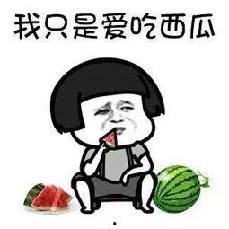 有什么瓜吃吗娱乐圈,揭秘热门八卦，畅享娱乐盛宴