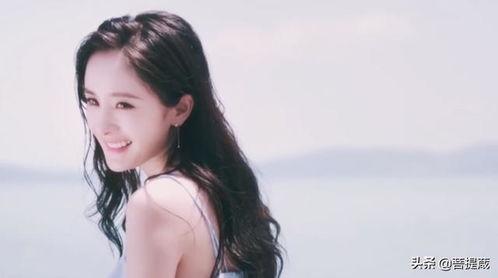 娱乐圈吃瓜的作品